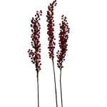 XMAS LONG BERRY
