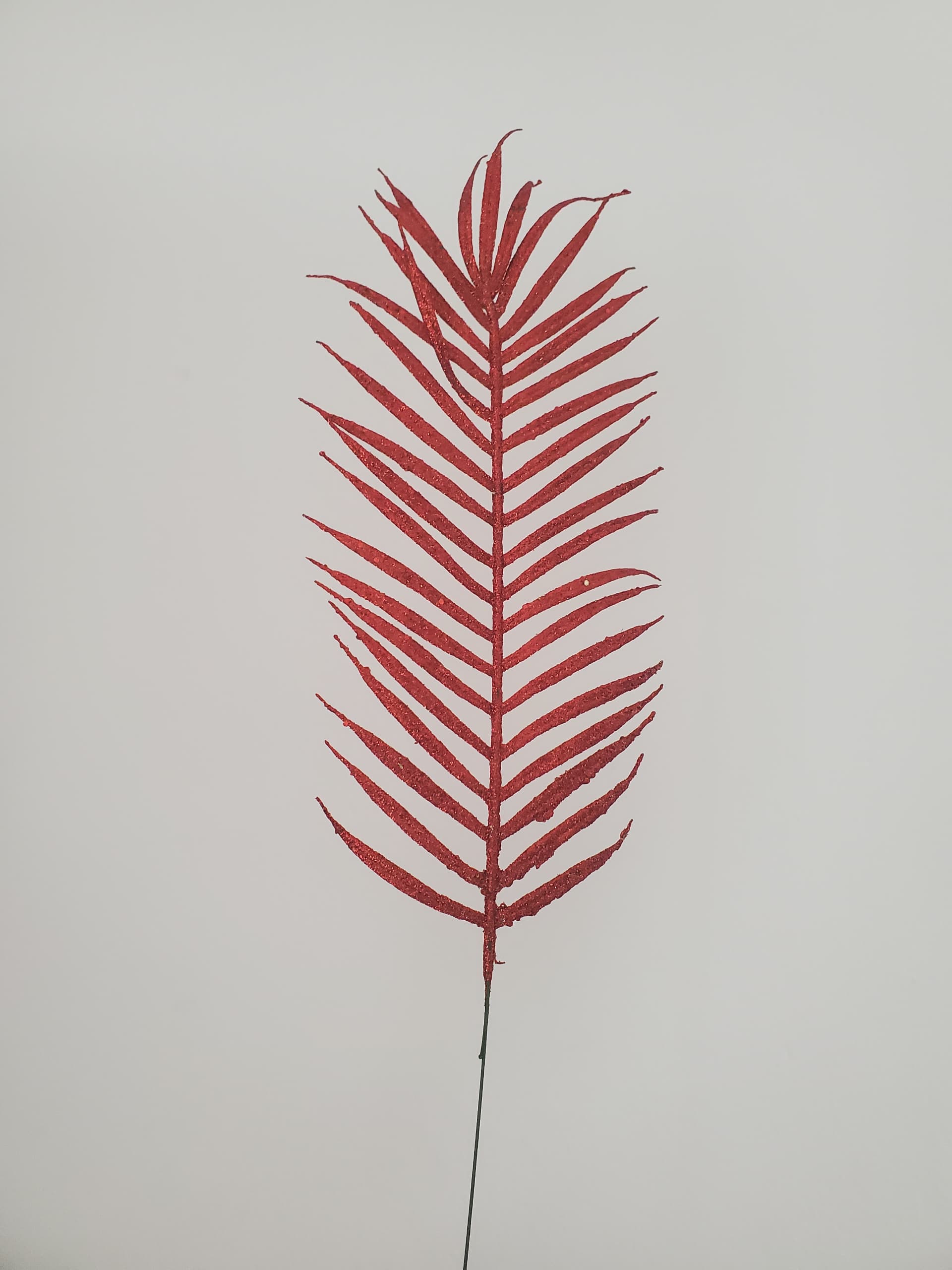 WhatsApp Image 2024-10-28 at 14.41.58_6a80be93 XMAS PALM LEAF - Image 1